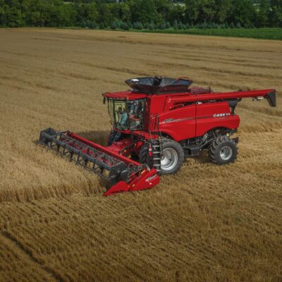 Series_Hero_Grain_Head