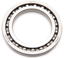 BEARING BALL, RADIAL 65/100 - 08101-16013