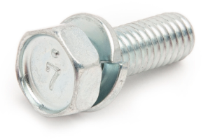 BOLT - 01023-50618