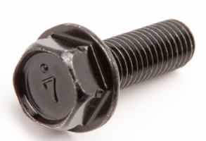 BOLT M8X1.25X25MM - 01754-70825