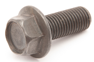 BOLT M10X1.25X25MM - 01774-71025