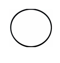 SEALING RING - 384398R1